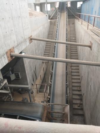 1631667892992904.jpg 0000099 1729.jpg